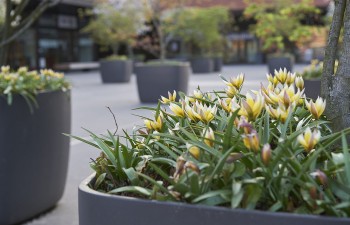 Jetzt erst recht Jetzt erst recht